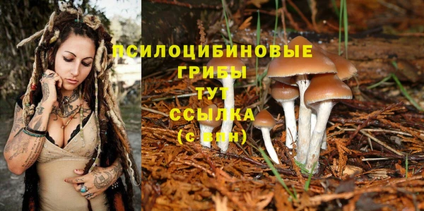 PSILOCYBIN Киреевск