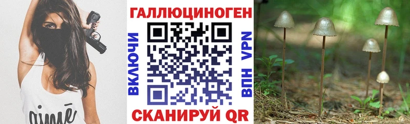Купить закладки  Далматово  Псилоцибиновые грибы Psilocybine cubensis 