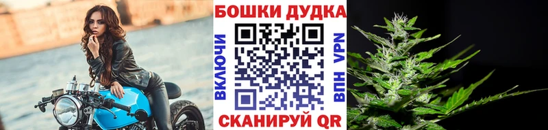 Бошки Шишки THC 21%  Купить где  Далматово 